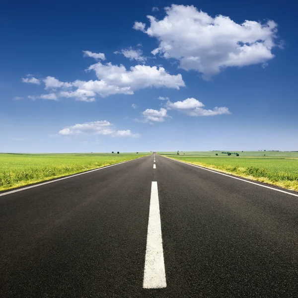 güzel bir güneşli gün asfalt yolda sürüş