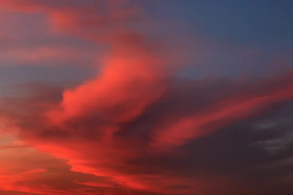 日の出で柔らかく、ふわふわの雲の形成 — ストック写真