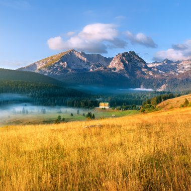dağ manzarası. Durmitor Milli Parkı - Karadağ 