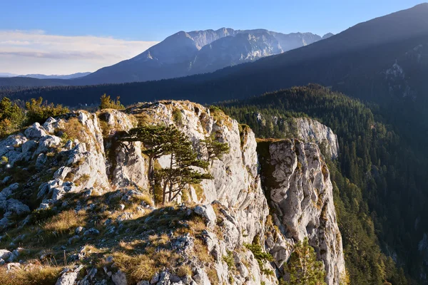 Mountain landscape. Durmitor National Park - Montenegro — Stock Photo, Image