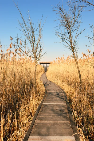 Accesso alla torre di avvistamento per bird watching — Foto Stock