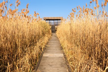 watchtower kuş gözlemciliği için erişim