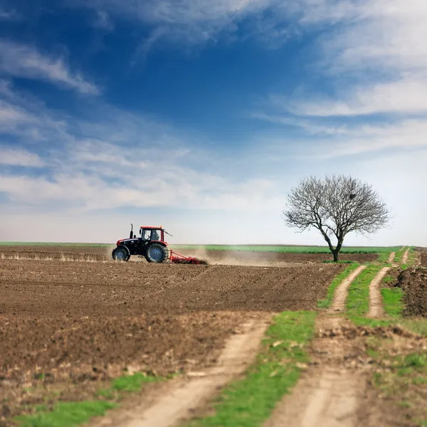 Traitement des terres avec tracteur — Photo