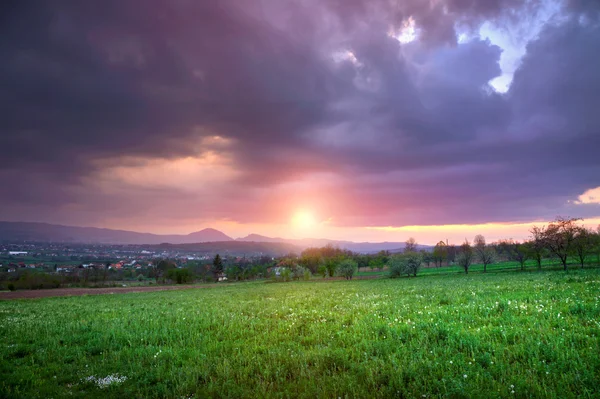 Champ vert et nuages lourds au coucher du soleil — Photo