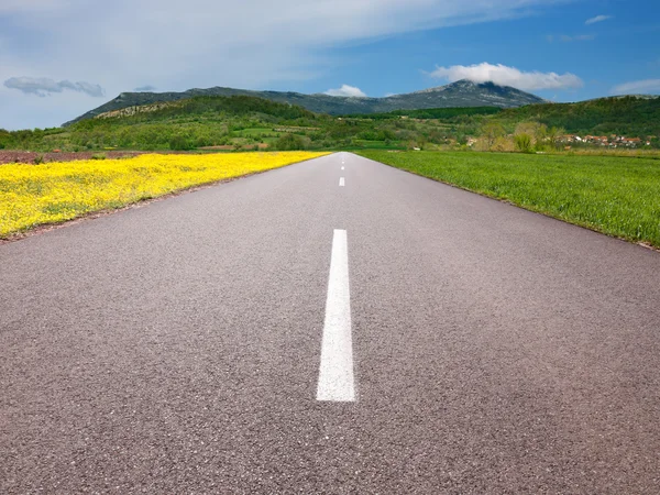 Bir pastoral alanları boş asfalt yolda sürüş — Stok fotoğraf