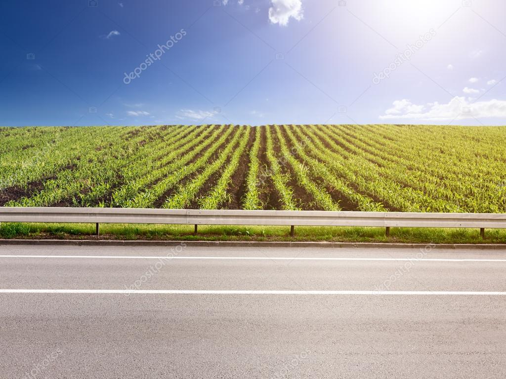 Side view of empty asphalt road and corn crops Stock Photo by ©rasica  47661919