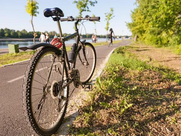 Велосипед поруч з велосипедним маршрутом — стокове фото