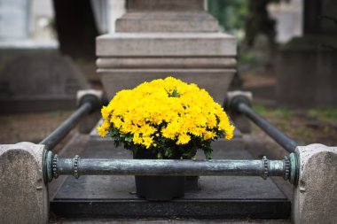 taze çiçekler mezarına. Cimitero monumentale, milan