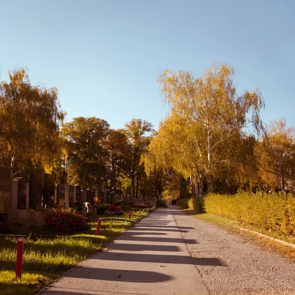 Road near the cemetery — Stock Photo, Image