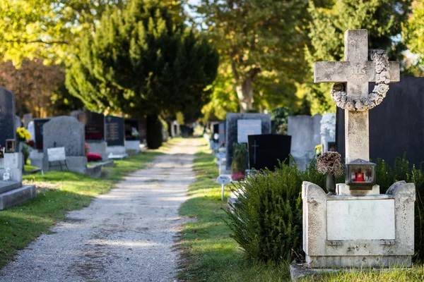 Beautiful alley at cemetery — Stock Photo, Image