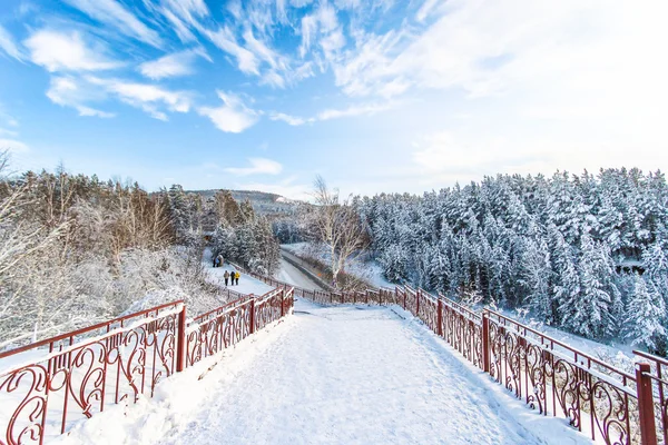 Beautiful winter scenery. Siberia — Stock Photo, Image