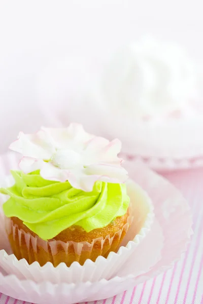 Belo cupcake fresco. Foco seletivo — Fotografia de Stock