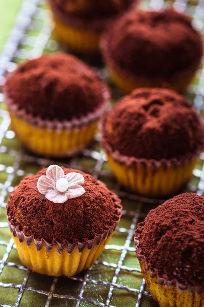 Hausgemachte Cupcakes mit Kakaopulver verziert. — Stockfoto