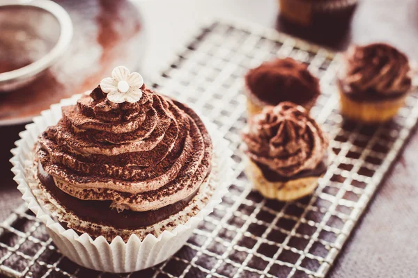 Cupcakes au chocolat — Photo