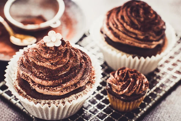 Schokoladen-Cupcakes — Stockfoto