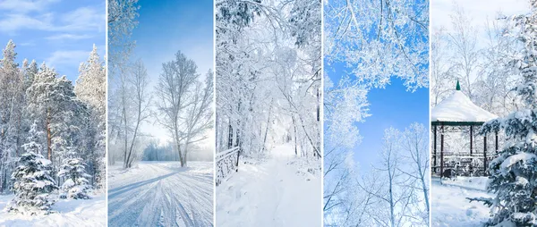 Beau collage d'hiver — Photo