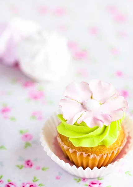 Frischer Cupcake — Stockfoto