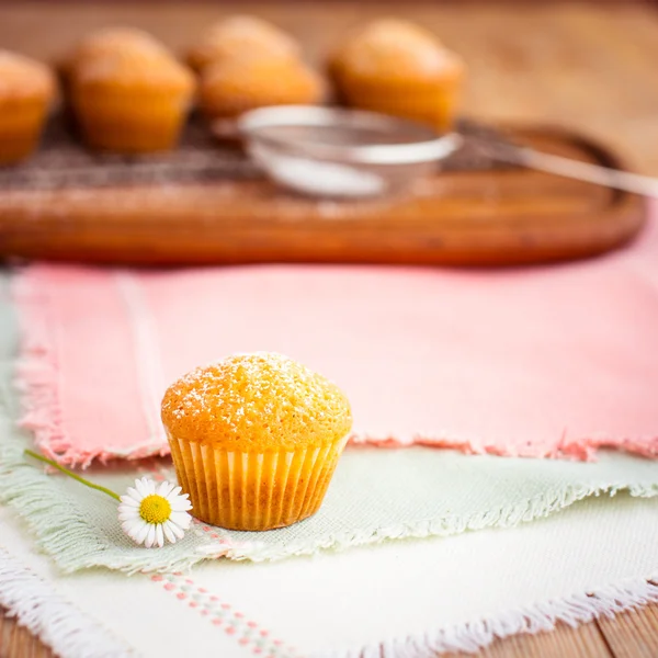 Frische Cupcakes — Stockfoto