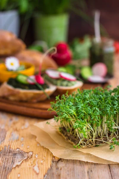 Vegan sfondo cibo con crescione fresco Immagine Stock
