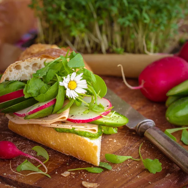 Baguete com pesto verde — Fotografia de Stock