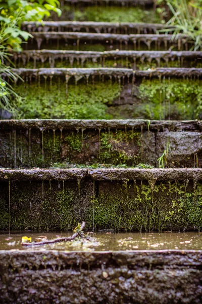 Мокрая каменная лестница — стоковое фото