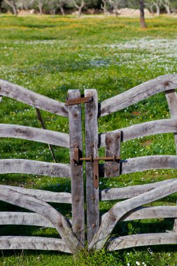 önünde bir yeşil alan, ahşap çit