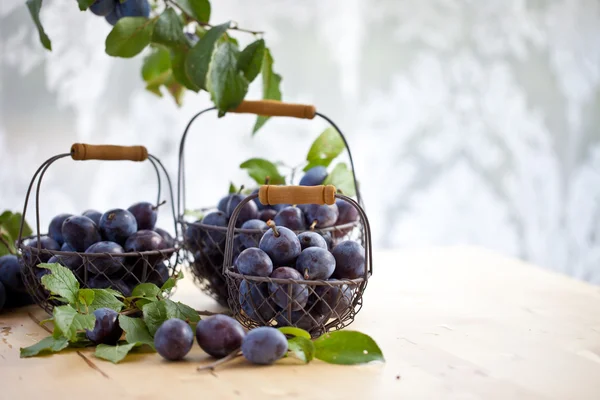 Fresh ripe plums in little mesh baskets — Stock Photo, Image