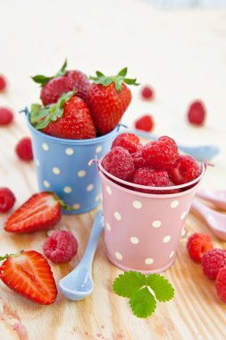 taze olgun kırmızı meyveler