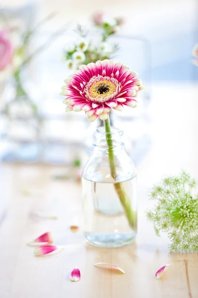 Küçük şişe taze çiçekler kazanmak — Stok fotoğraf