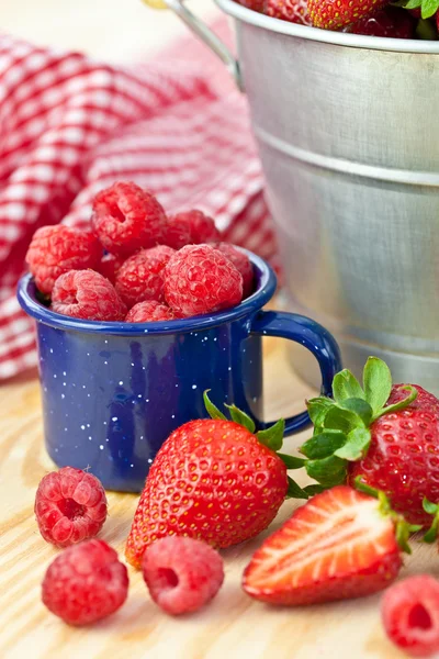 Fresh ripe red berries — Stock Photo, Image