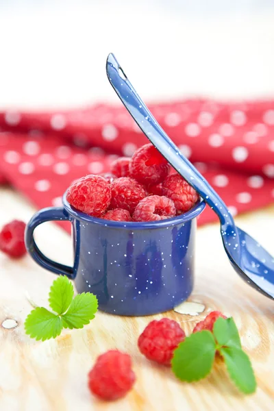 Fresh ripe red berries — Stock Photo, Image