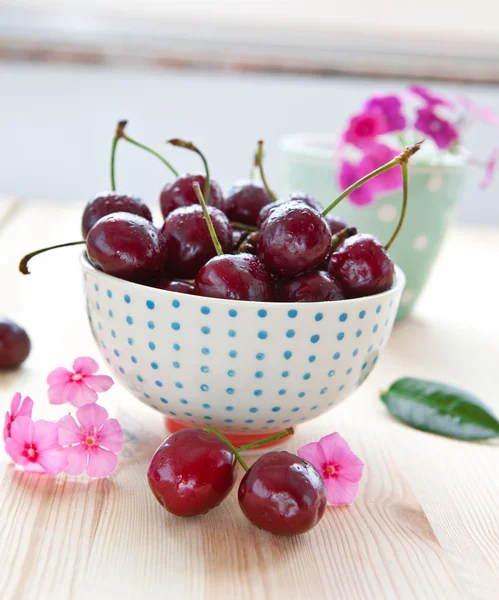 Fresh cherries in little bowl — Stock Photo, Image