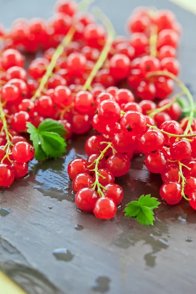 Red currant on stone tray — Stock Photo, Image