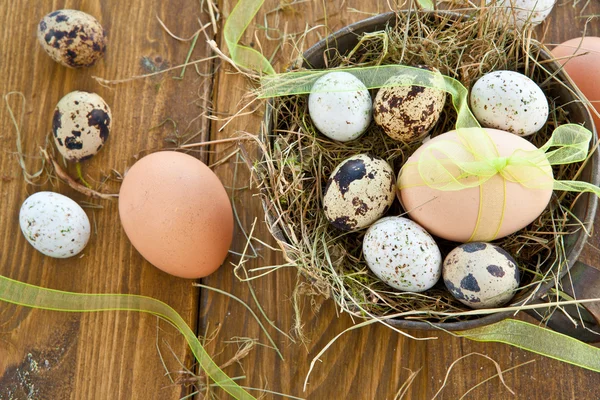 Olika råa ägg — Stockfoto