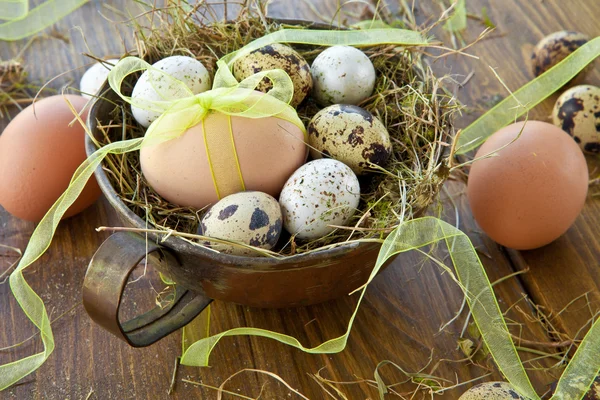 Various raw eggs — Stock Photo, Image