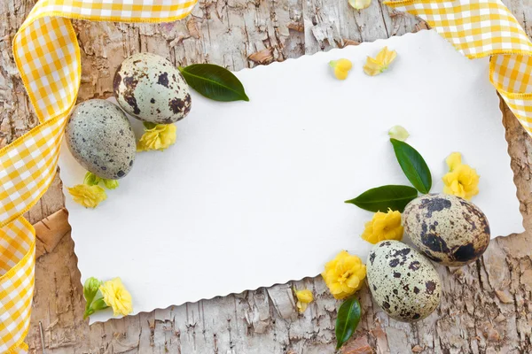 Ovos de codorniz e pequenas flores — Fotografia de Stock