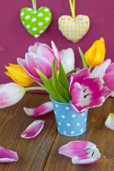 Färgglada tulpaner i en liten hink — Stockfoto