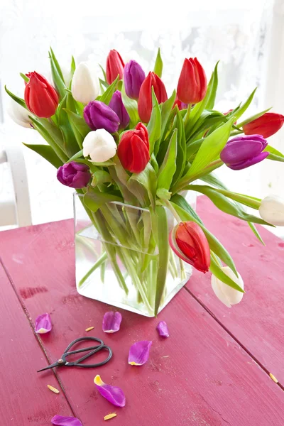 Bunte Tulpen zu Ostern — Stockfoto