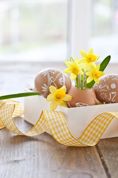 Héjas tojás sárga nárcisz — Stock Fotó