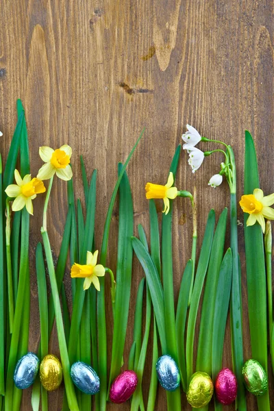 Bakgrund med vårblommor — Stockfoto