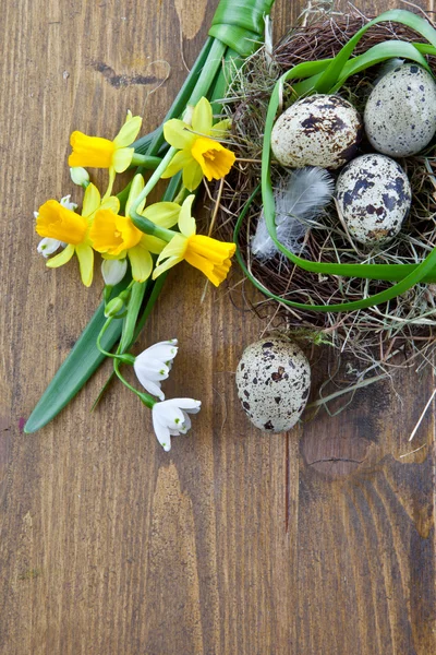 Färska blommor och en påsk boet — Stockfoto