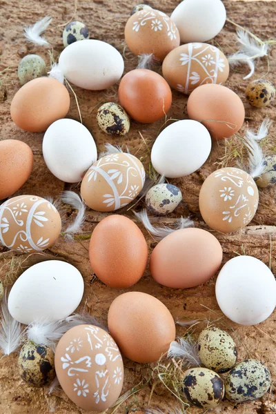 Contexto com uma variedade de ovos — Fotografia de Stock