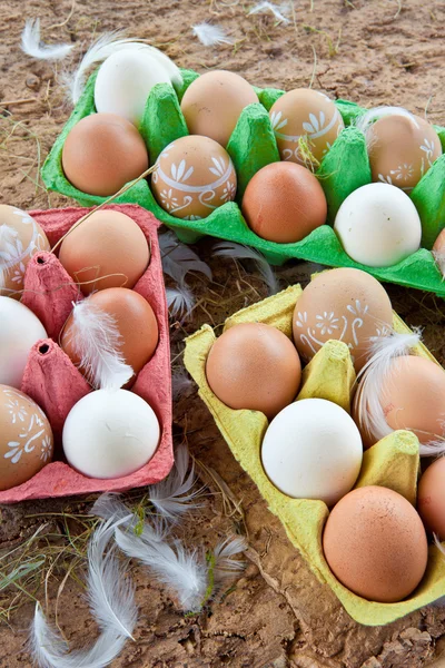 Hintergrund mit einer Vielzahl von Eiern — Stockfoto
