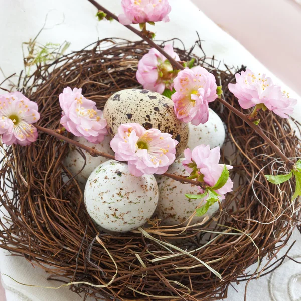 Pequeño nido de Pascua con huevos de codorniz — Foto de Stock