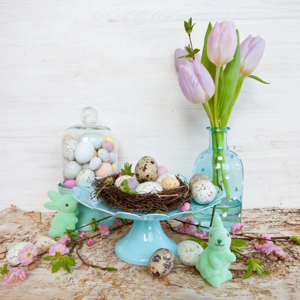 Little easter nest with quail eggs — Stock Photo, Image