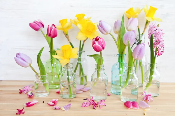Färgglada blommor i små flaskor — Stockfoto