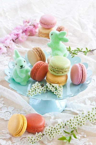 Colorful macaroons on blue plate — Stock Photo, Image