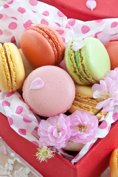 Colorful macaroons in red box — Stock Photo, Image