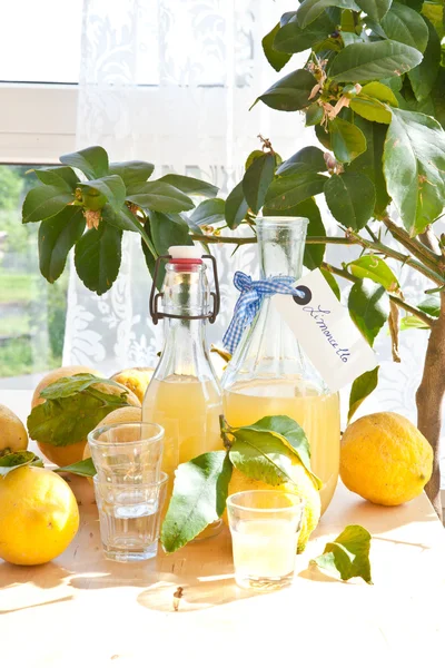 自制的柠檬酒 — 图库照片
