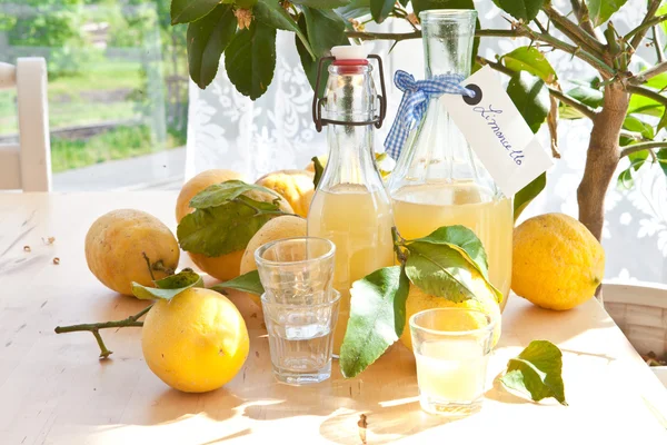 Limoncello fatto in casa — Foto Stock